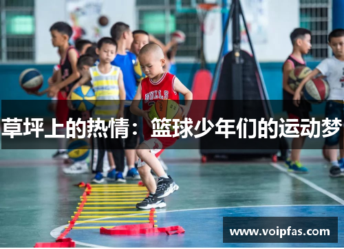 草坪上的热情：篮球少年们的运动梦
